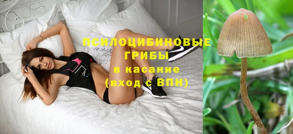 скорость Алексин